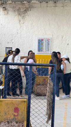 WhatsApp Image 2025-05-24 at 5.01.16 PM (1)